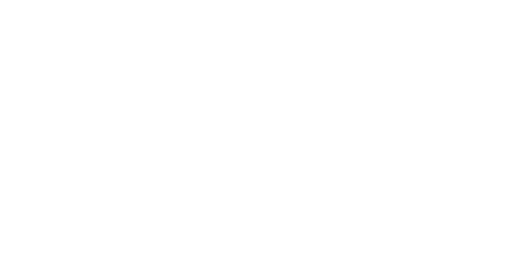 2023-2024 company auditions