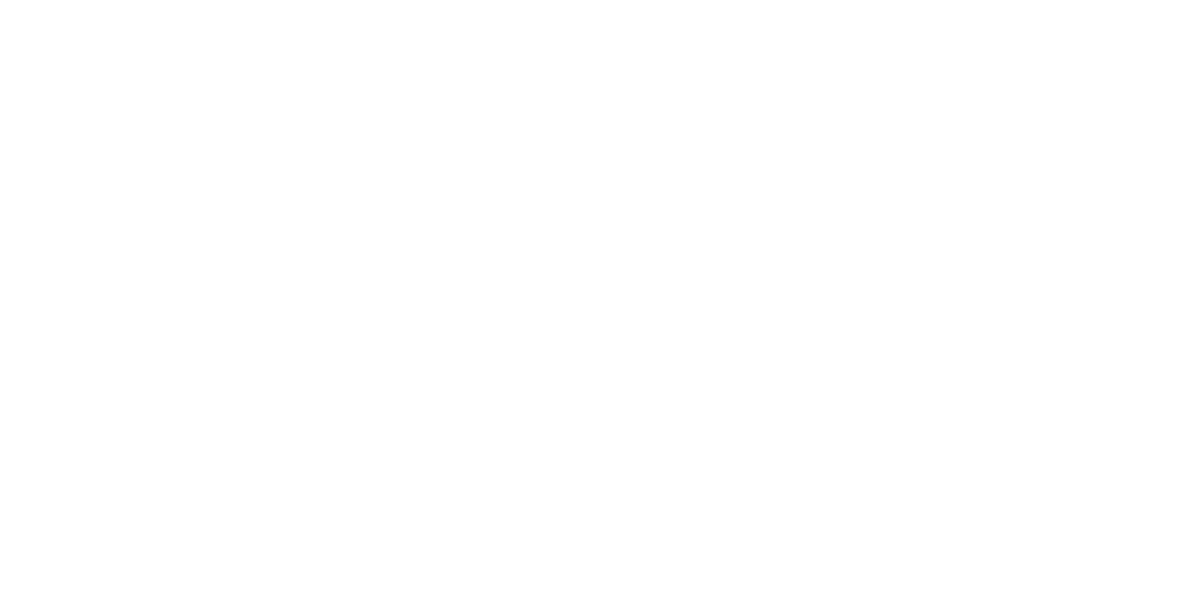 artistic edge gala