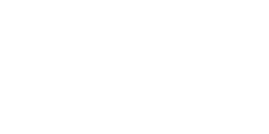 summer intensives
